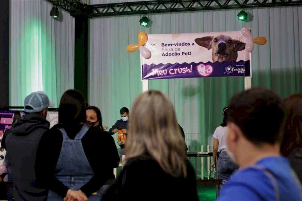 VÍDEO + FOTOS: amor e responsabilidade marcaram feira de adoção deste domingo