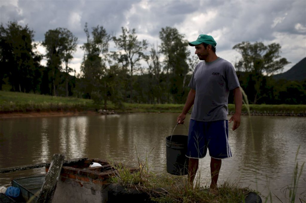 Foto: Anselmo Cunha (Especial) - 