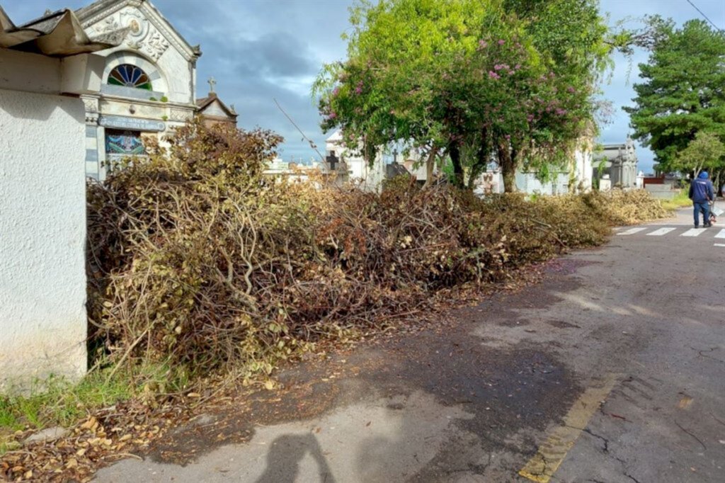 VÍDEO: familiares reclamam de estado de conservação do Cemitério Ecumênico