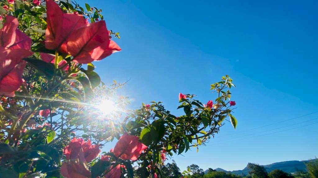 Semana será de sol e calor em Santa Maria e região
