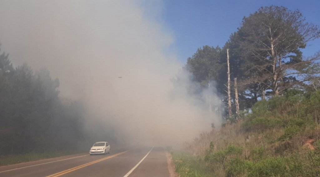 Fogo atinge vegetação às margens da BR-287