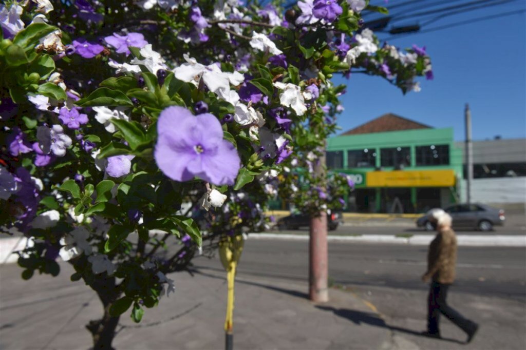 Foto: Gabriel Haesbaert (Diário) - Paisagem de Santa Maria já conta com o colorido da nova estação