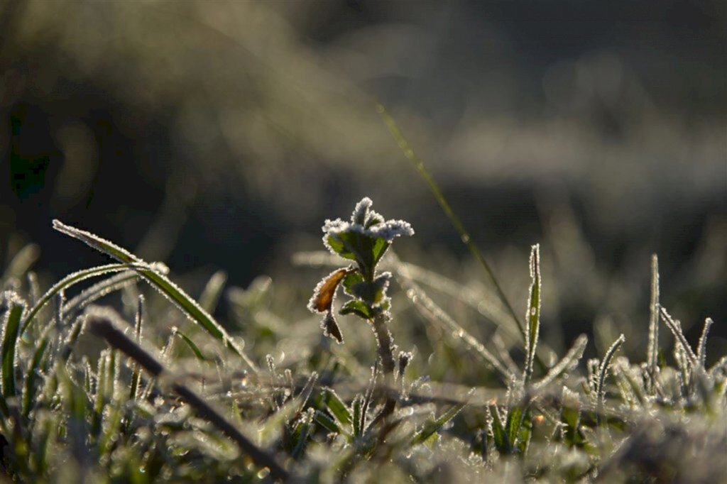 Foto: Gabriel Haesbaert (Diário) - 