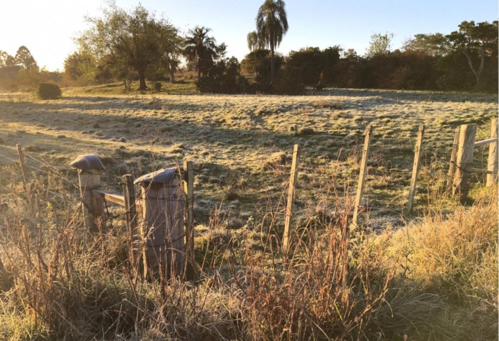 título imagem VÍDEO: Santa Maria tem o dia mais frio de agosto em 28 anos