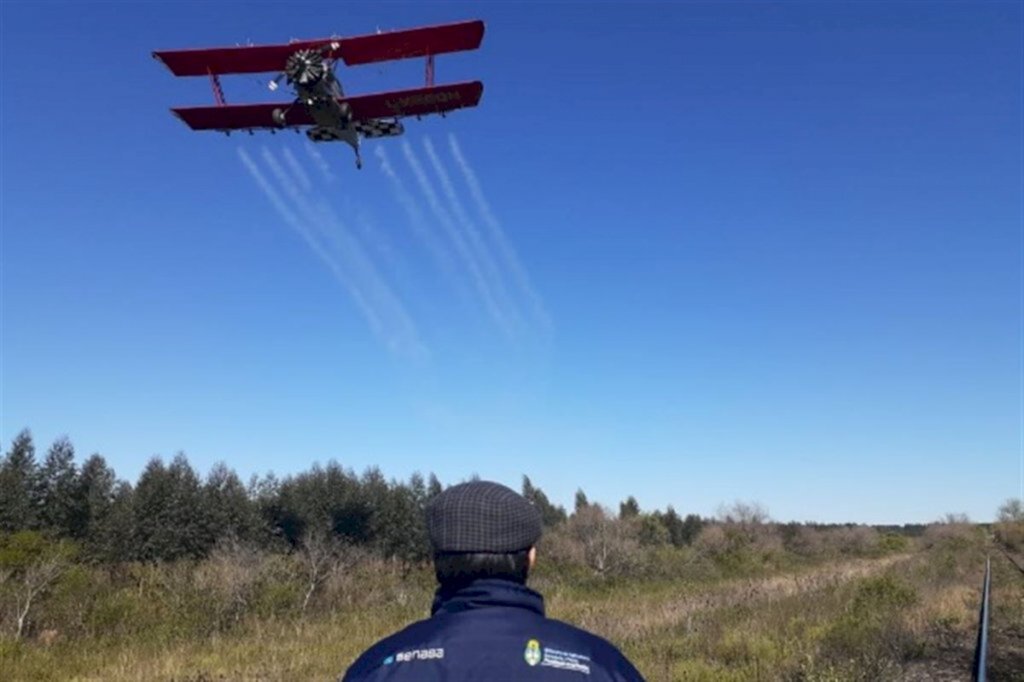 Primeira nuvem de gafanhotos está sob controle, mas nova formação preocupa