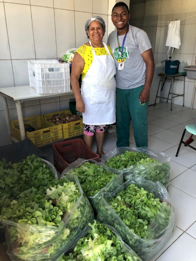 VÍDEO: campanha recebe doação de frutas, legumes e verduras para entidades