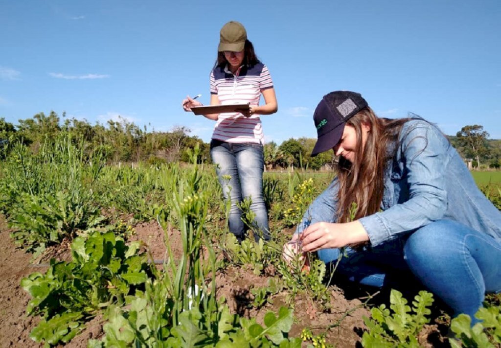 Tempo instável trará chuva, sol, vento Norte e frio