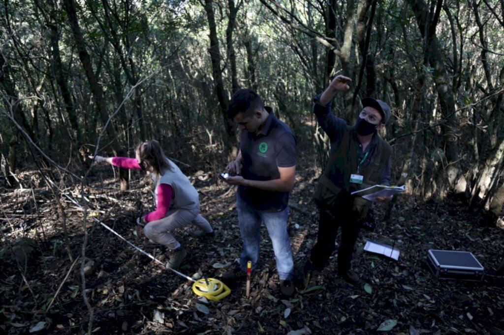 VÍDEO: pesquisadores da UFSM começam a monitorar impactos de incêndio em Agudo