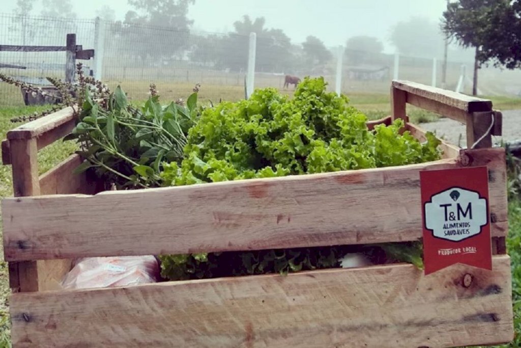 Delivery de produtos do campo ganha espaço em Santa Maria
