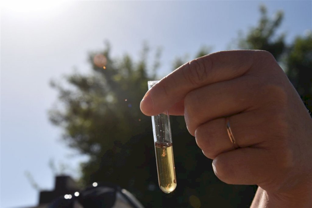 Dengue coloca Santa Maria na mira de um novo surto