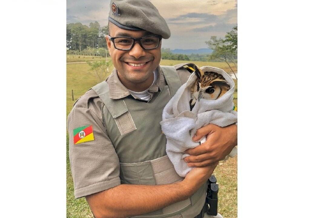 Coruja com asa machucada é resgatada em rua da cidade