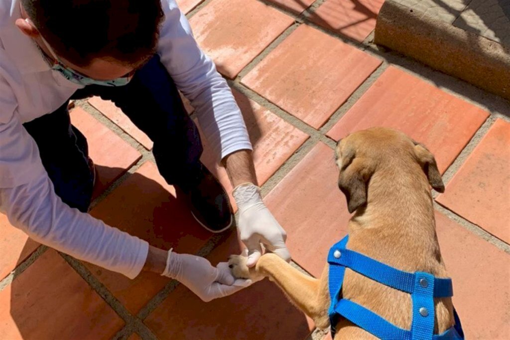 Foto: Arquivo pessoal - 