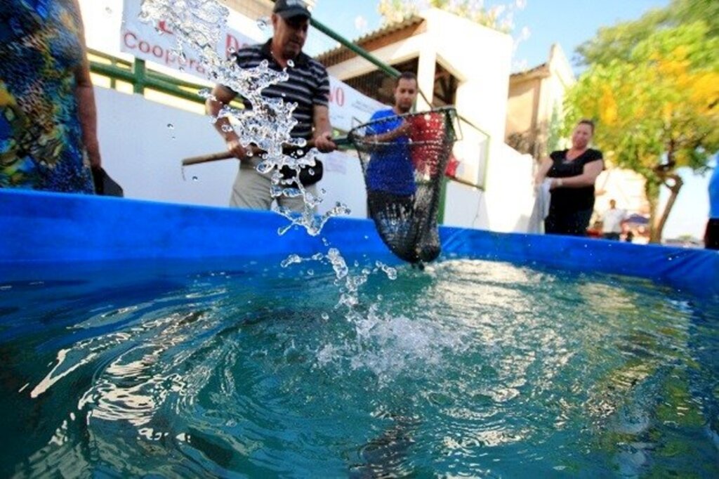 Duas cidades da região cancelam feira do peixe