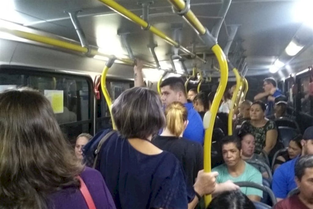Com aumento da demanda, linhas de ônibus serão ampliadas