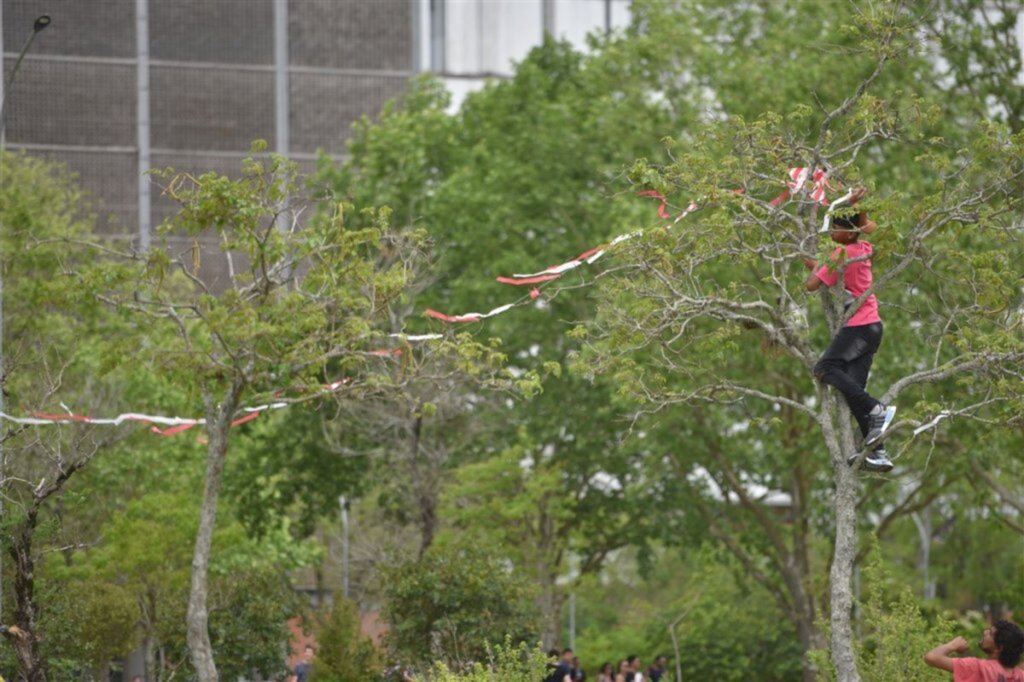 3º Festival de Pandorgas  enfeitou o céu nublado da UFSM neste domingo