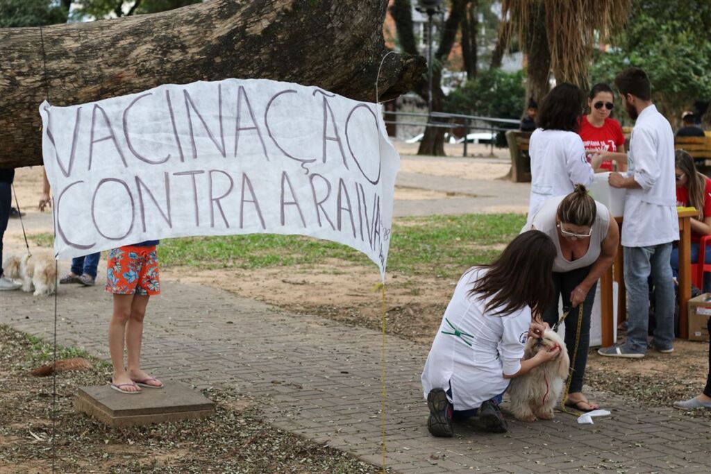 Veja onde vacinar pets contra raiva em Santa Maria neste fim de semana