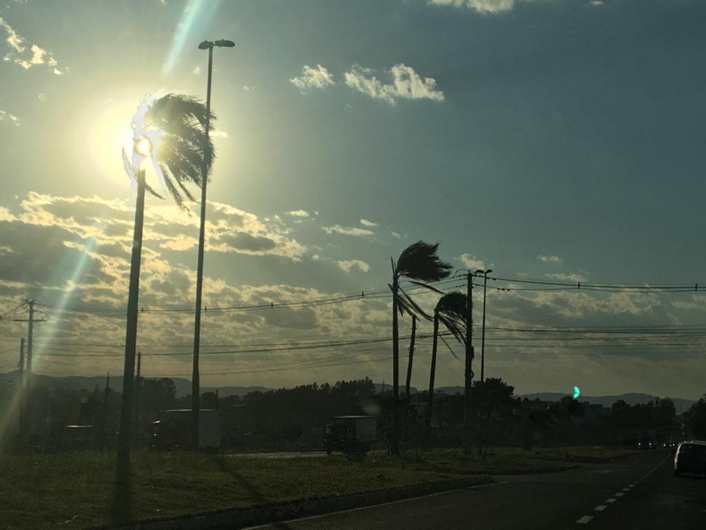 Rajadas chegam a 54,2 km/h em dia de vento norte e calor em Santa Maria