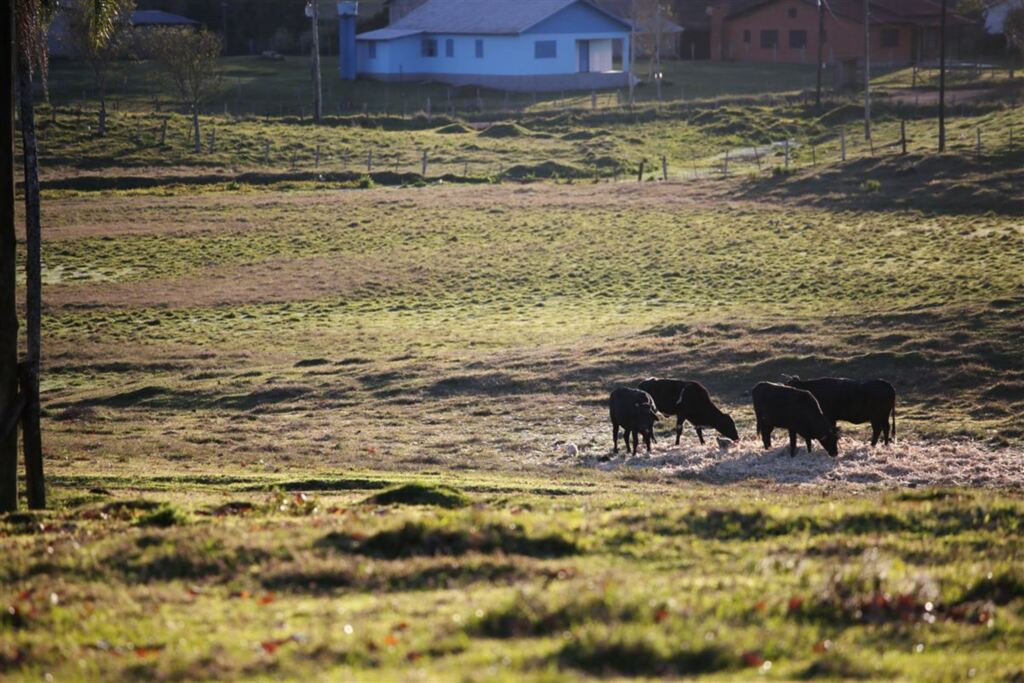 Região registra terceiro dia seguido com temperatura negativa e geada