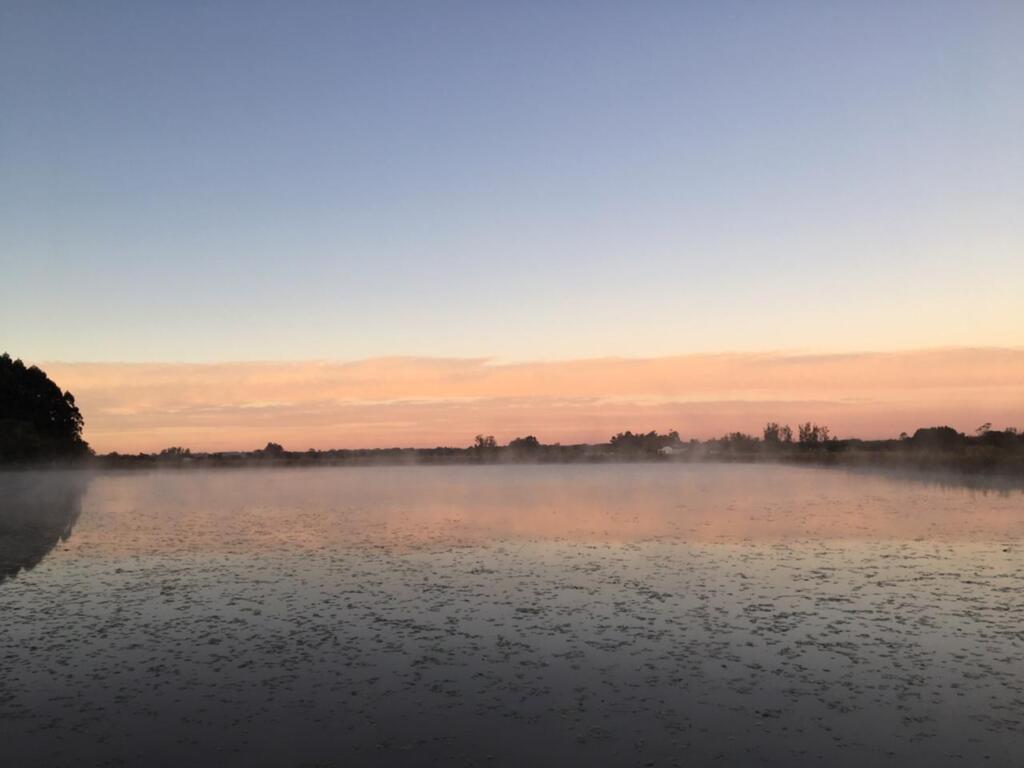 FOTOS: quinta-feira começa gelada, com geada, e temperatura negativa na região