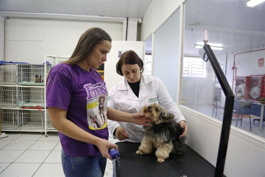 Foto: Pedro Piegas (Diário) - 