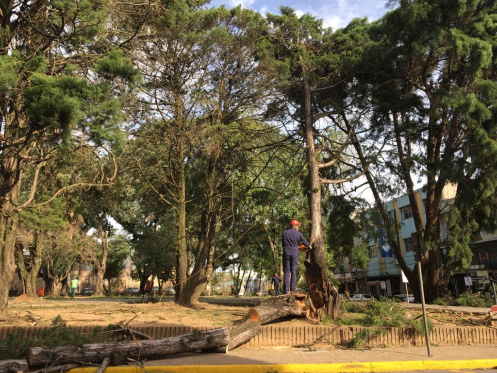 Foto: Thays Ceretta (Diário) - 