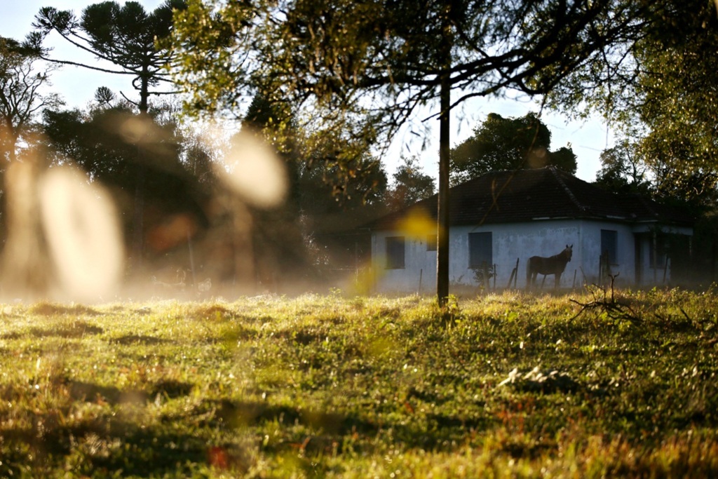 Santa Maria registra o dia mais frio do ano nesta quinta-feira
