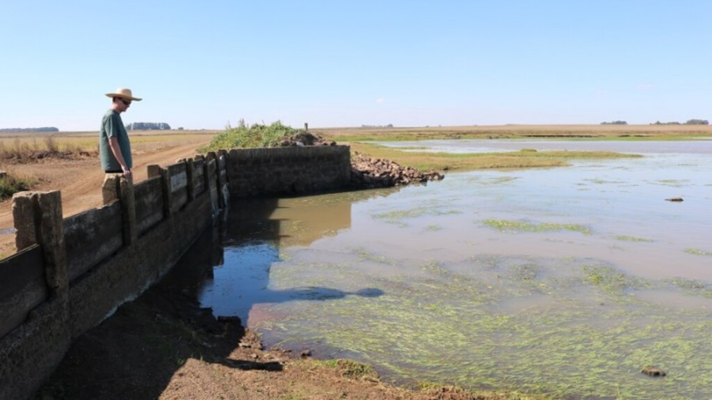 Foto: (Secretaria do Meio Ambiente e Infraestrutura/Divulgação) - 