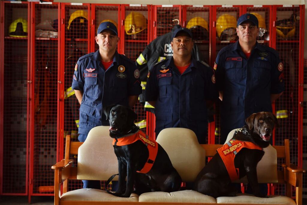 Bombeiros e cães que atuaram em Brumadinho serão condecorados nesta sexta