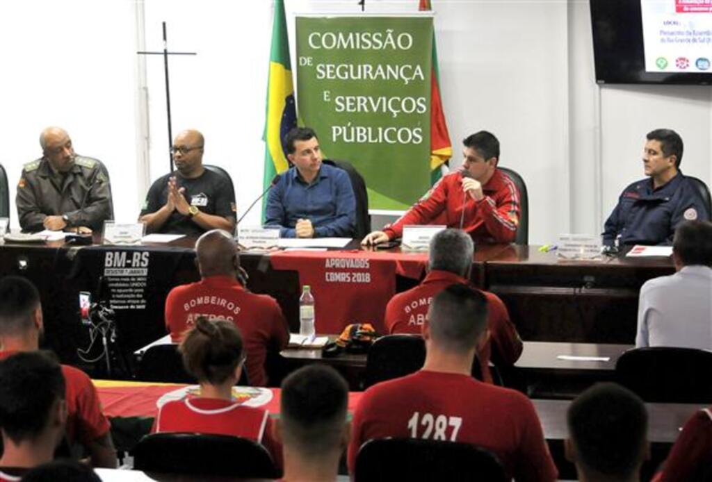 Foto: Celso Bender (Assembleia Legislativa/Divulgação) - 