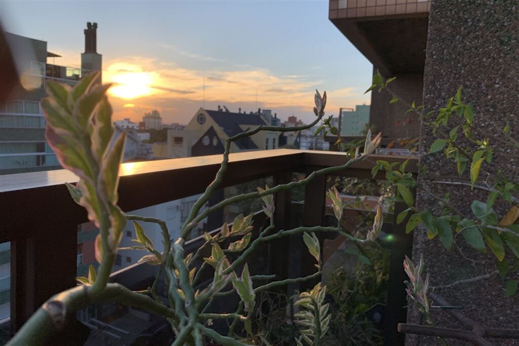 Foto: Dinaura Comel (Arquivo pessoal) - 