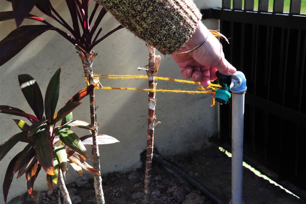 Moradores de dois bairros de Santa Maria vão ficar sem água nesta sexta