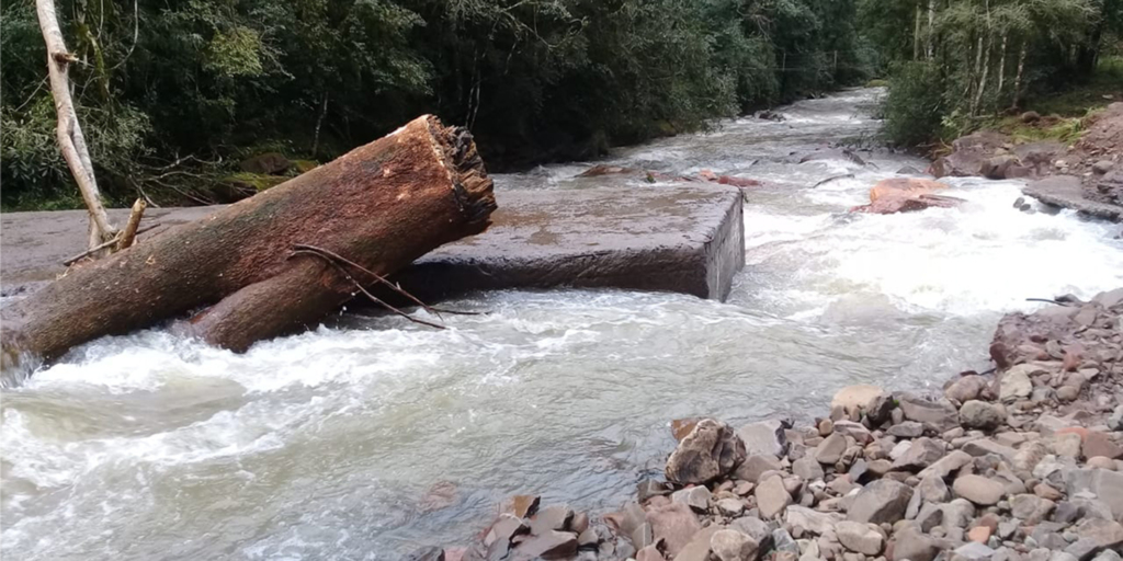 Foto: Prefeitura de Nova Palma (Divulgação) - 