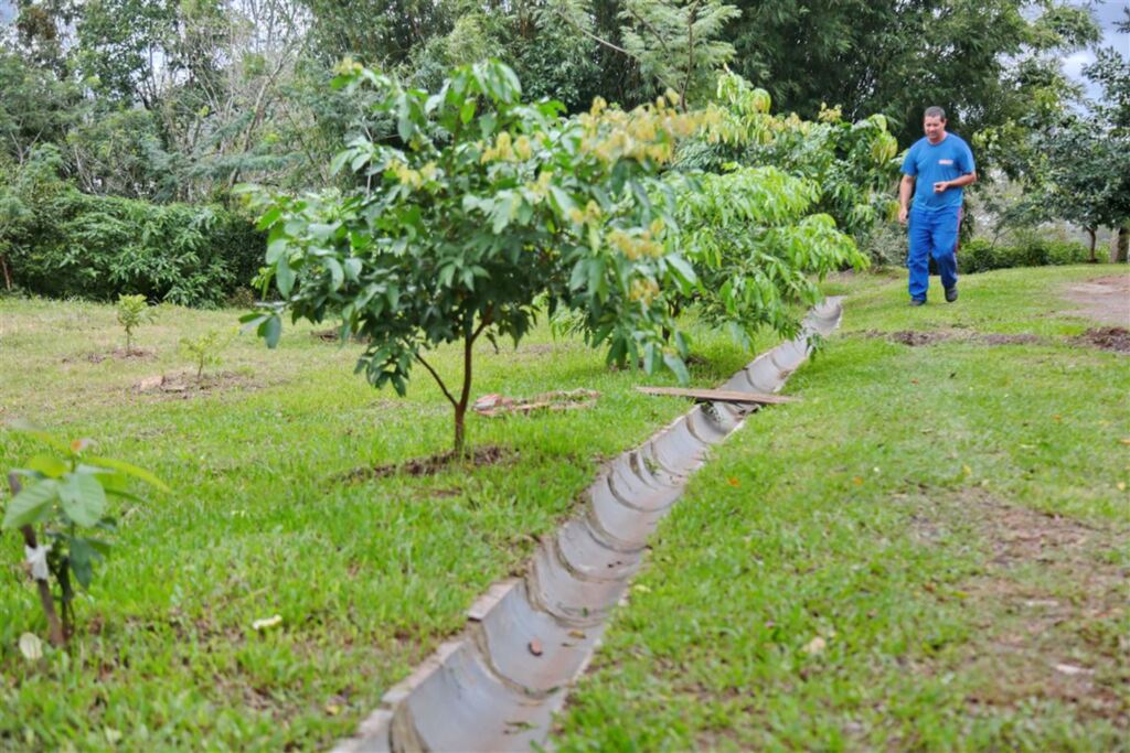Foto: Renan Mattos (Diário) - 