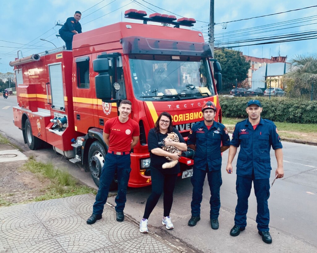 Fotos: Débora Quatrin (Arquivo Pessoal) - 