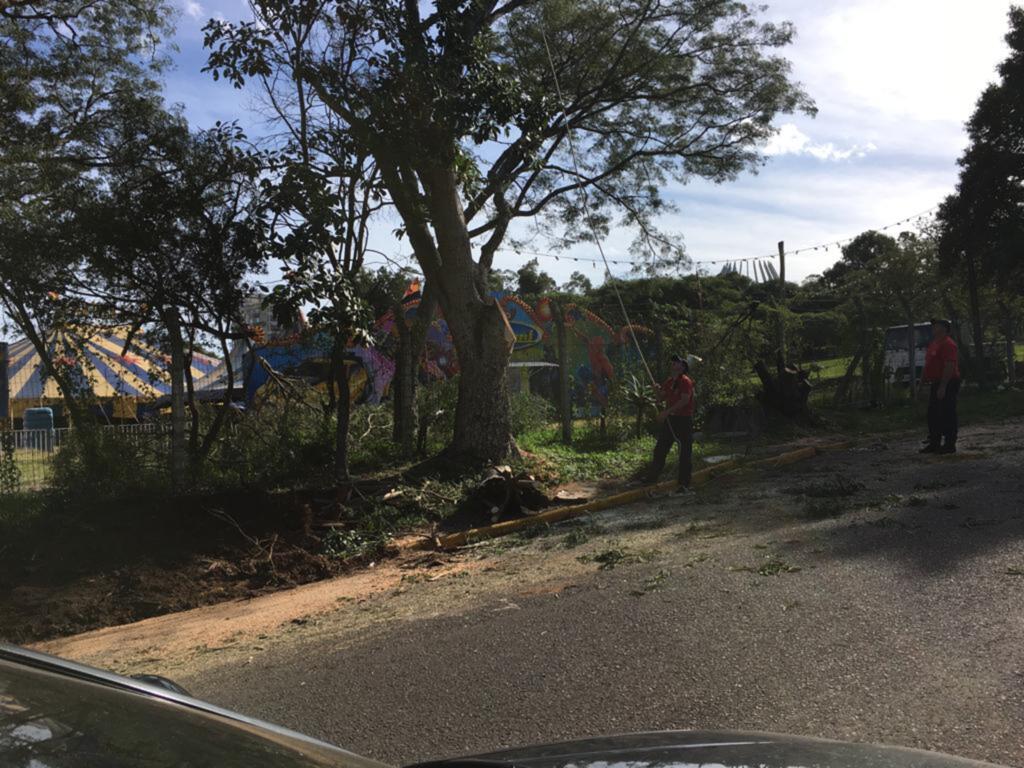 Foto: Arquivo pessoal - 