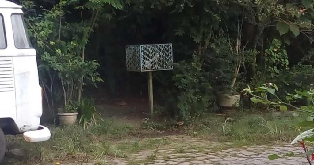 Foto: Arquivo Pessoal - 