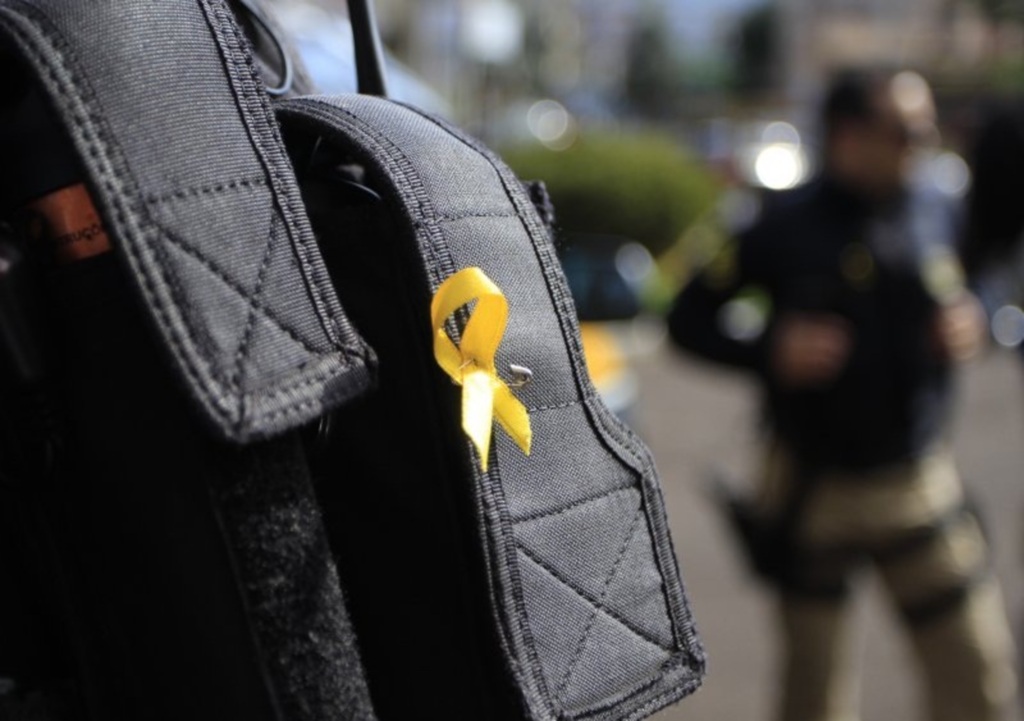 Foto: Prefeitura (Divulgação) - 