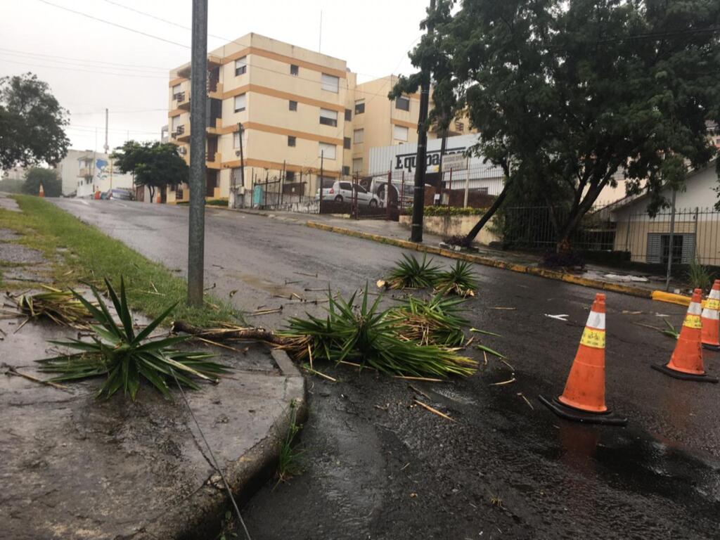 Avenida é liberada após caminhão arrancar fios de poste e bloquear o trânsito