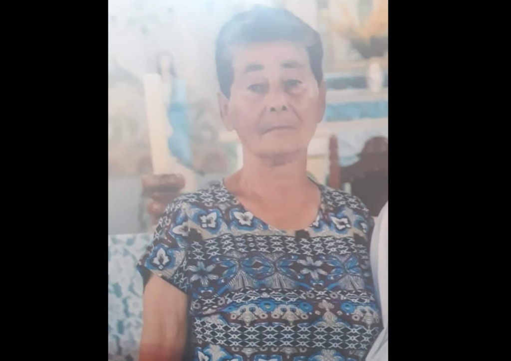 Idosa morre atropelada ao tentar atravessar rodovia em São João do Polêsine