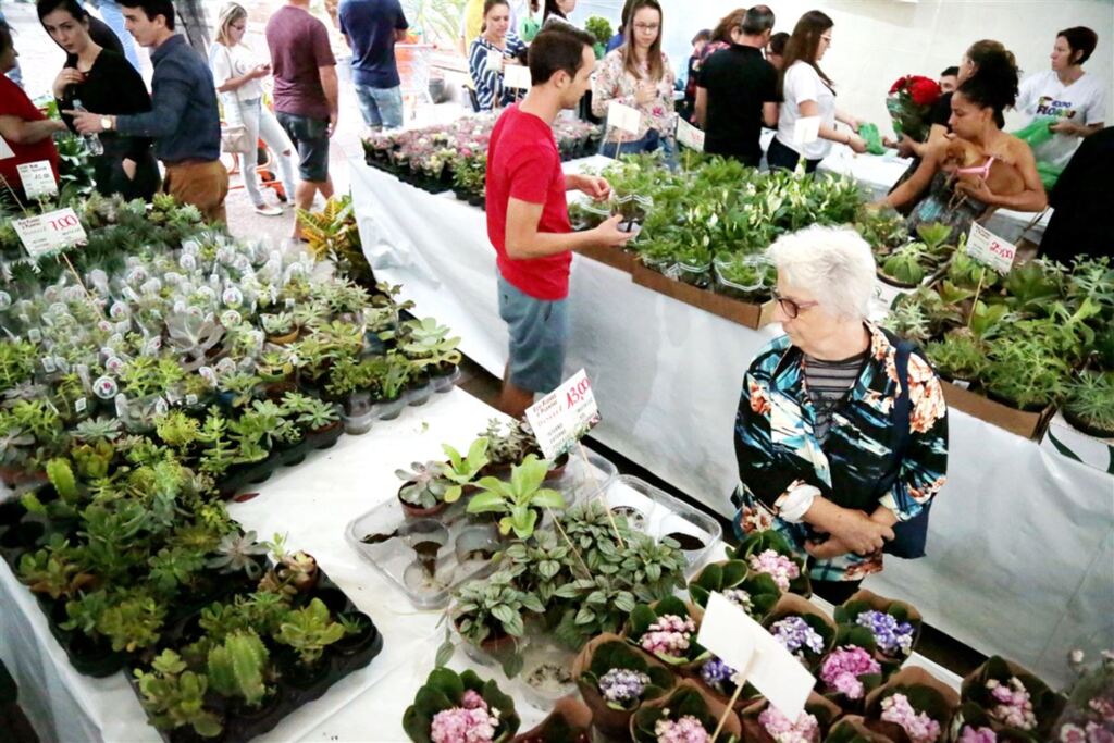 Foto: Renan Mattos (Diário) - 