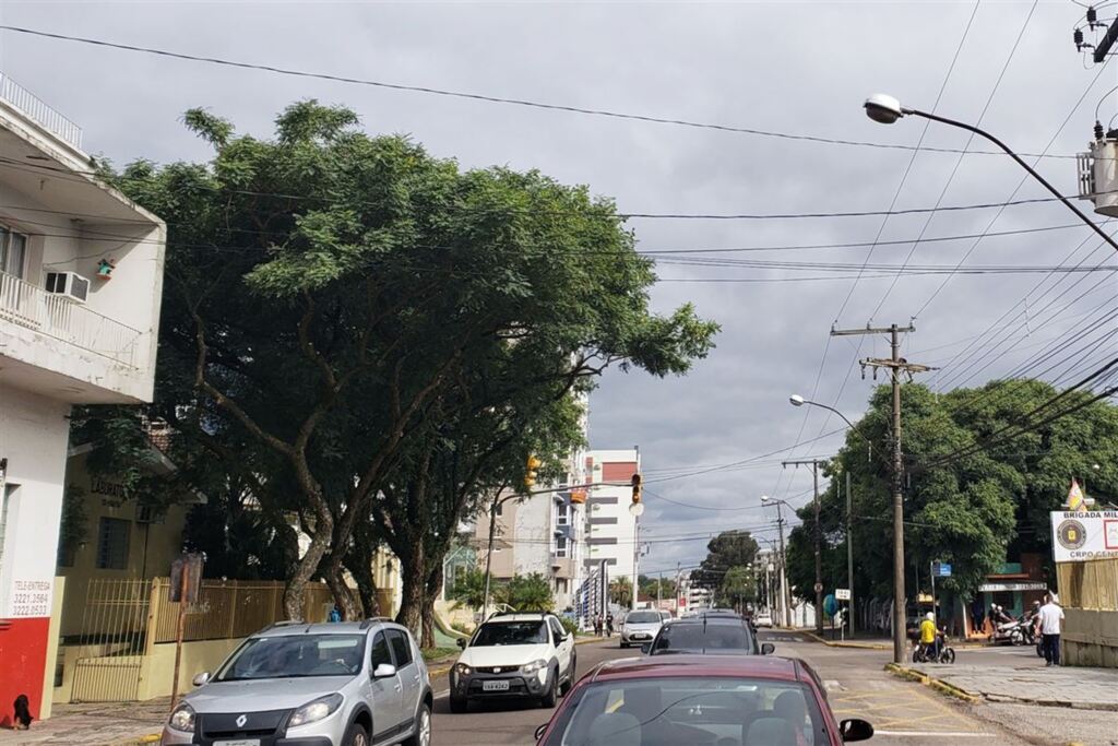 Placa e sinaleira que estavam 'escondidos' são consertados nesta sexta