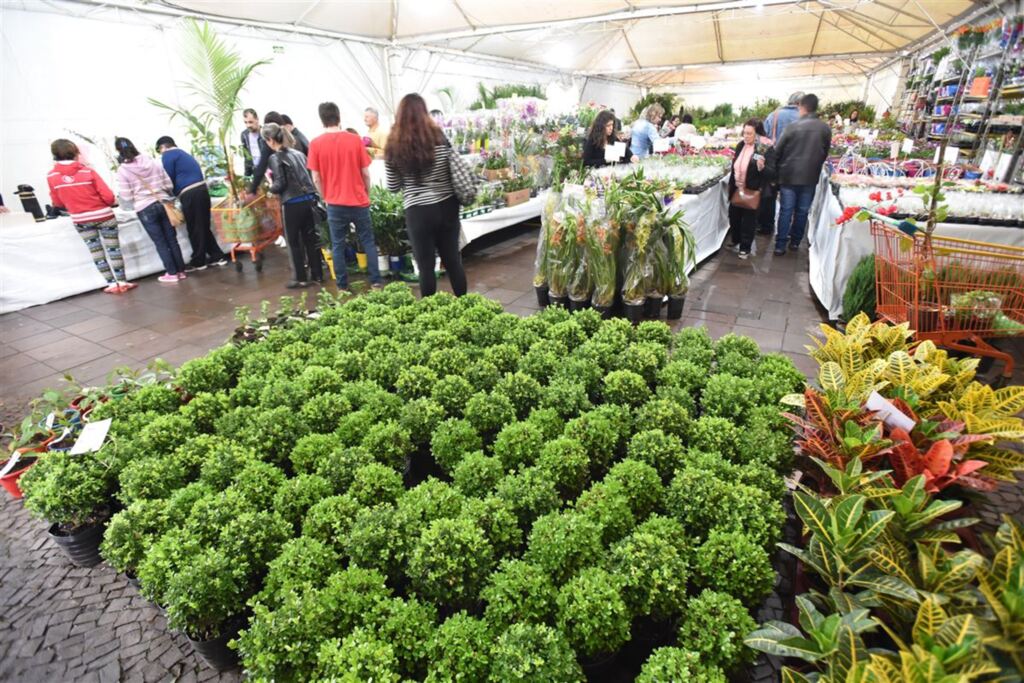 7ª Expoflores começa neste sábado em Santa Maria