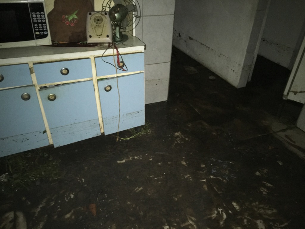 Fotos e vídeos: Victoria Debortoli (Diário) - 