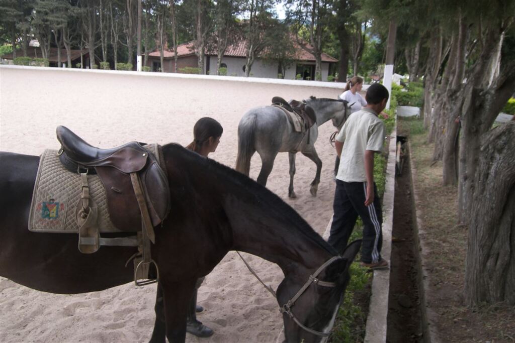 Projeto vai levar alunos para visitar sede da Brigada Militar em Santa Maria