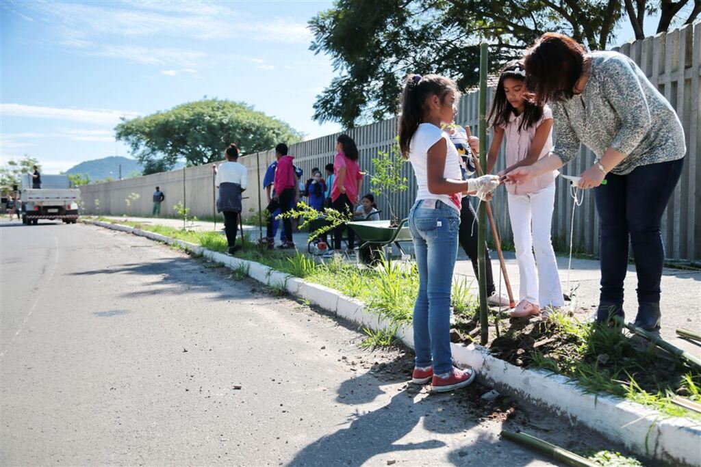 Fotos: Renan Mattos (Diário) - 