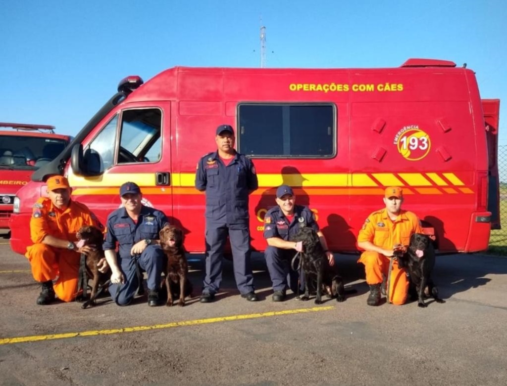 Foto: Corpo de Bombeiros (Divulgação) - 