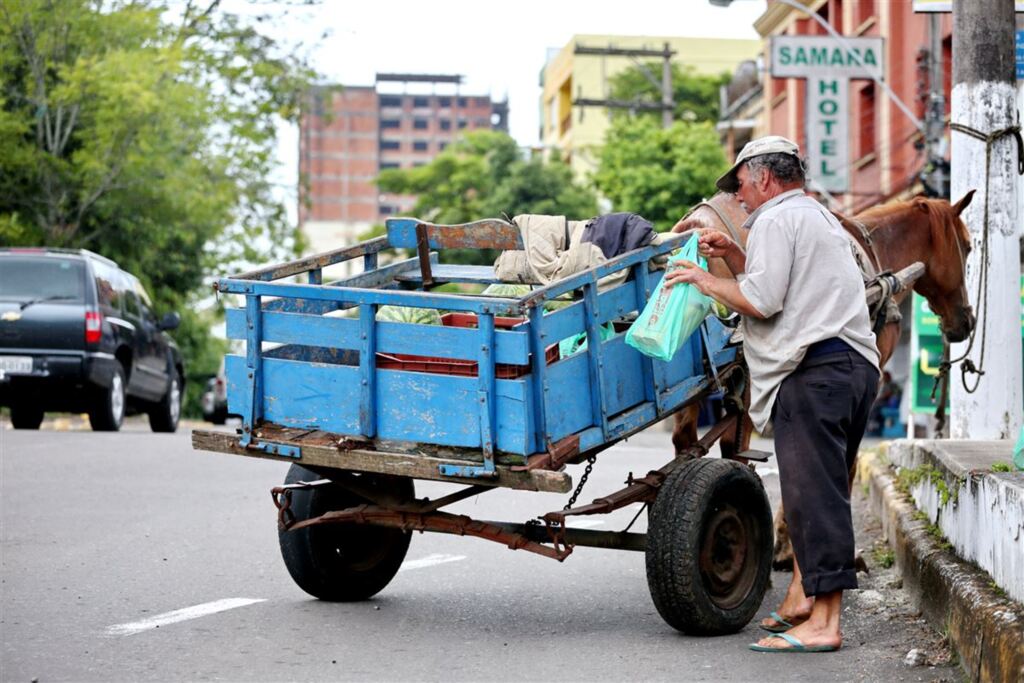 VÍDEO: projeto de lei quer barrar carroças no Centro