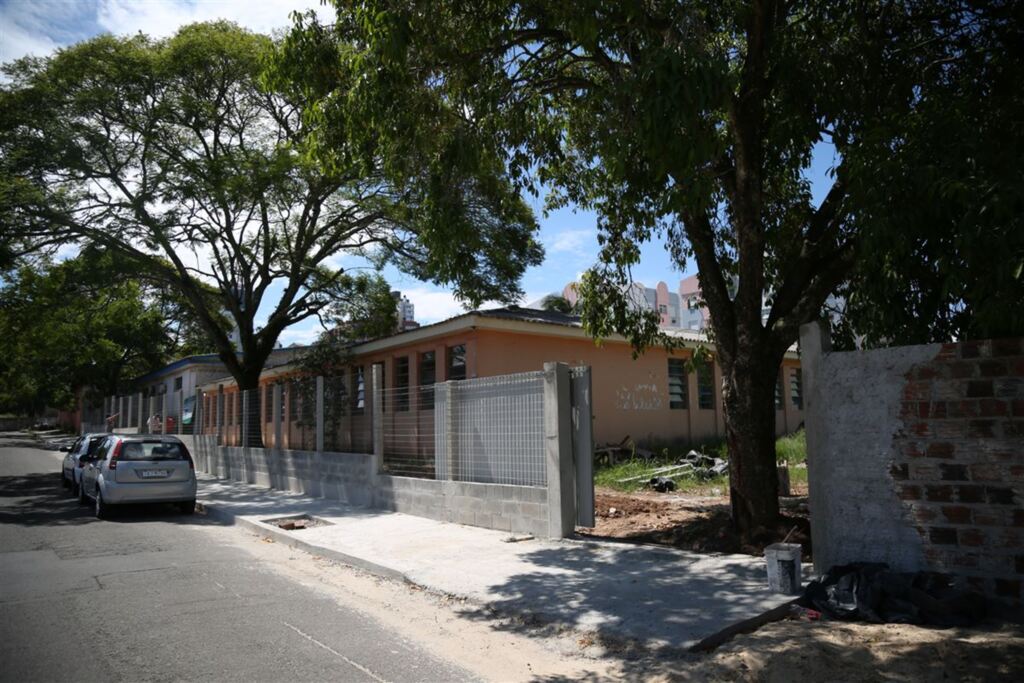 Prefeitura diz que vai retirar árvore que fica no acesso à escola de Santa Maria