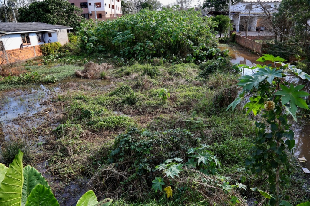 Charles Guerra, 19/07/2018 - 