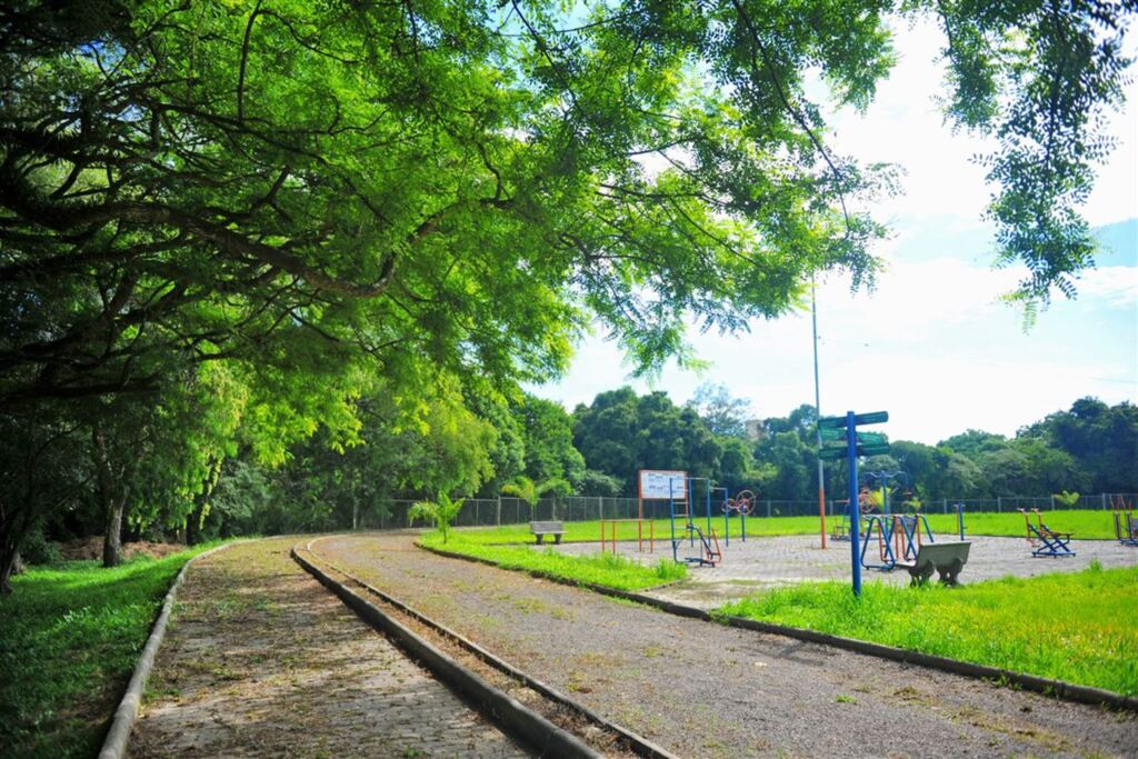 Parque da Cacism é fechado para retirada de enxame de abelhas